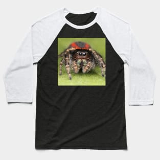Female Jumping Spider Baseball T-Shirt